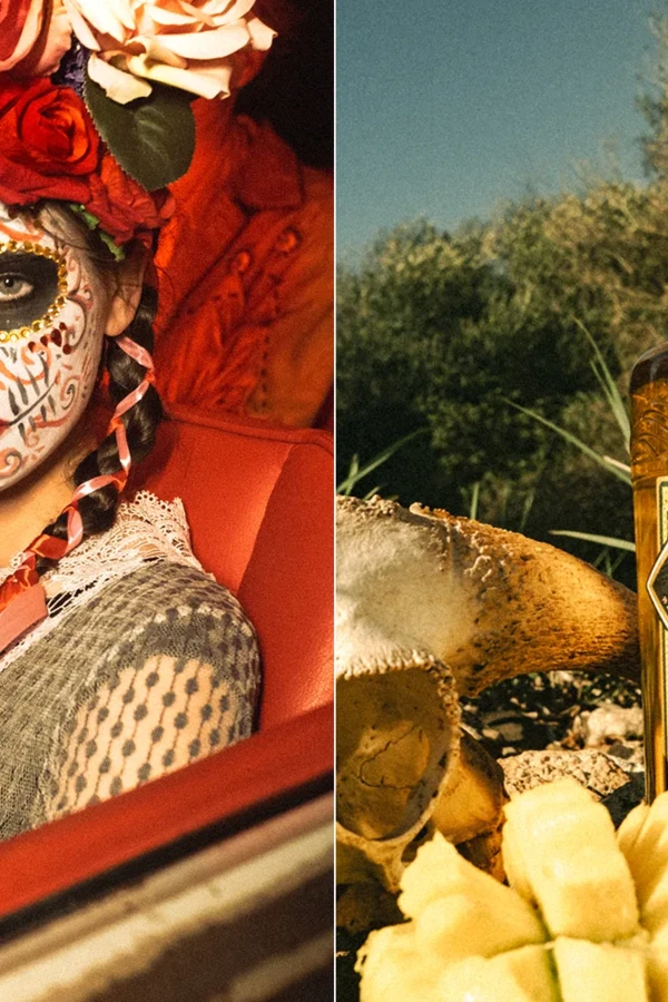 MBG_SALITOS_News_Tropical_Chili_2